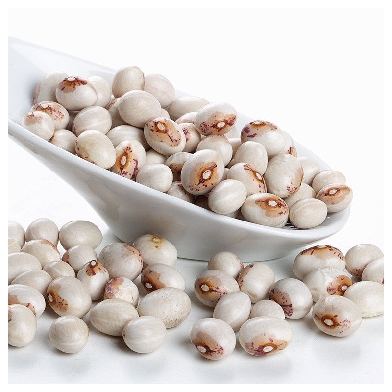 La Fragua Alubia Virgen del Pilar Extra a Granel La Fragua Alubia Virgen del Pilar Extra a Granel