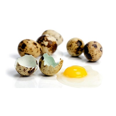 Sagra Huevos de Codorniz Frescos 18U