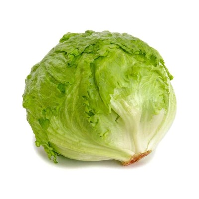 Lechuga Iceberg