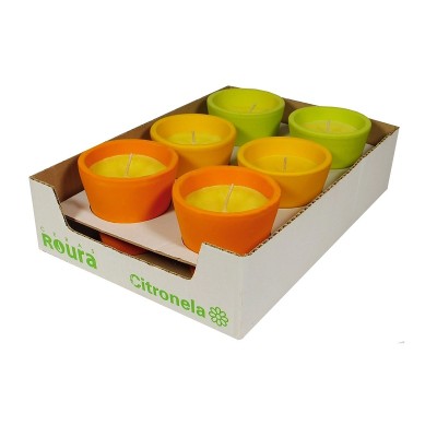 Roura Maceta Caribe Citronela