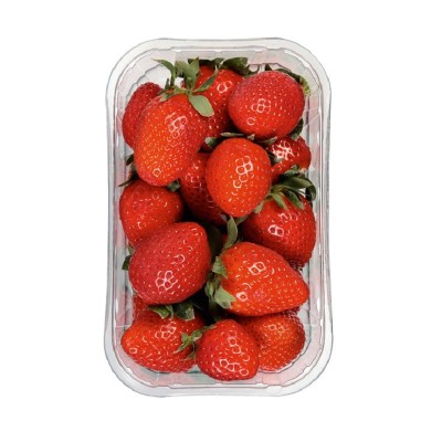 Fresón Tarrina 500G