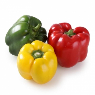 TG Pimiento Tricolor 3U