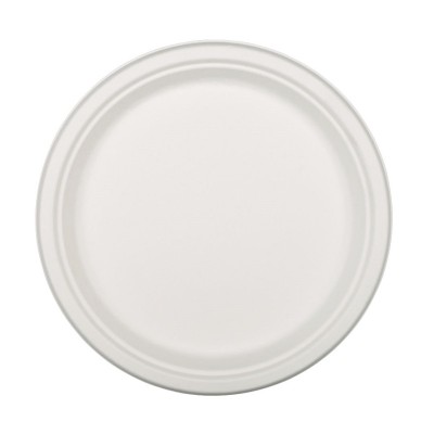 Plato Grande de Pulpa 26CM 20U